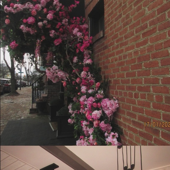 Canon Digital Camera - Picture 5 of 5